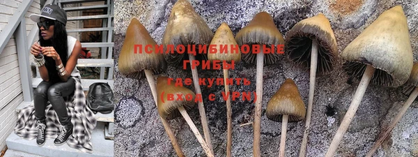 гидропоника Бронницы