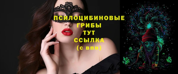 прущие грибы Бородино