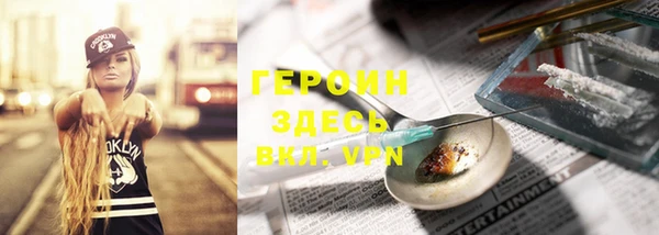 прущие грибы Бородино