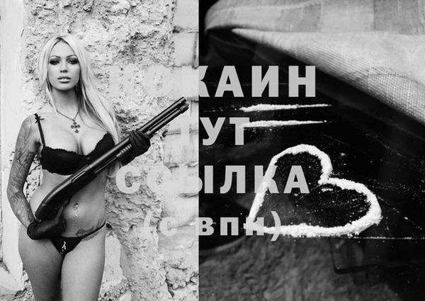 прущие грибы Бородино