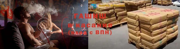 прущие грибы Бородино