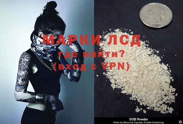 прущие грибы Бородино