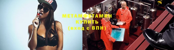 прущие грибы Бородино