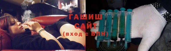 прущие грибы Бородино