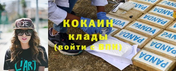 прущие грибы Бородино
