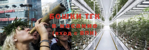 прущие грибы Бородино