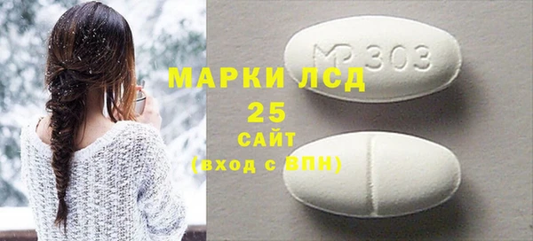 прущие грибы Бородино