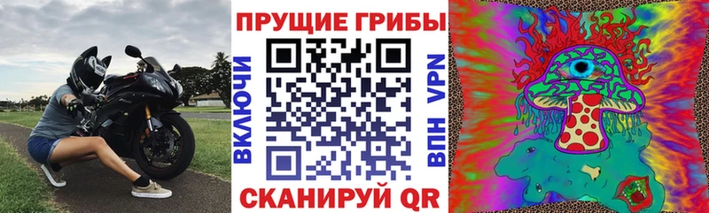 Купить закладки  Геленджик  Псилоцибиновые грибы прущие грибы 